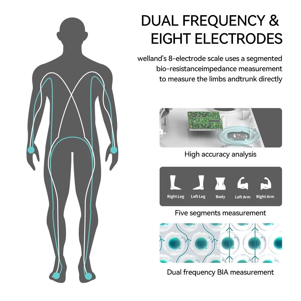 Scale for Body Weight and Fat Percentage, 8 Electrodes High Precision Digital Scale - Image 4